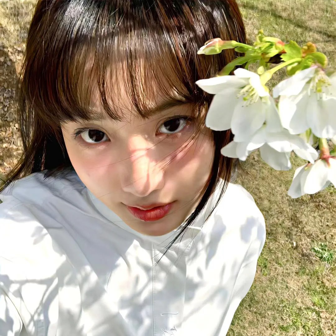 重阳登高摘挂枝